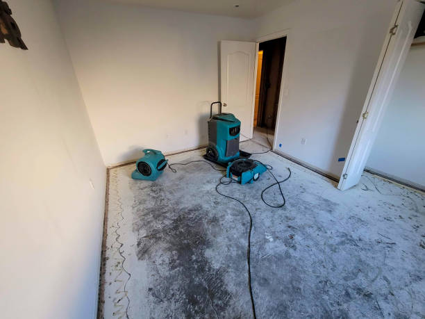 Best Commercial water damage restoration  in Asbury Park, NJ