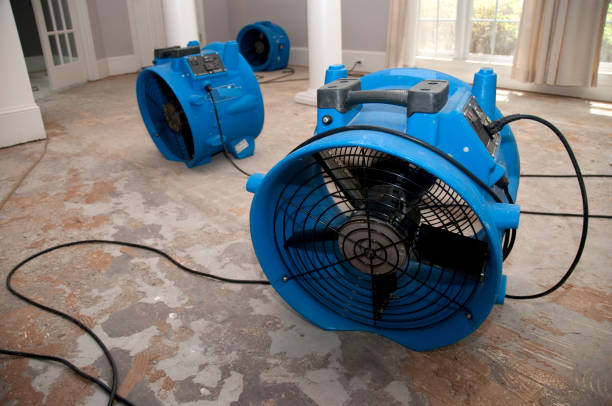 Best Basement water damage restoration  in Asbury Park, NJ